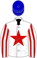 White, red star, striped sleeves, blue cap