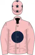 Pink, dark blue disc, stars on cap