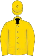 Gold, black and white 'ying yang' on back of jacket