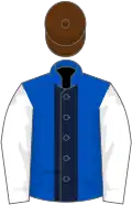 Royal blue, dark blue stripe, white sleeves, brown cap
