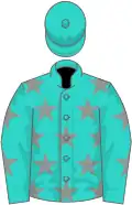 Turquoise, grey stars, turquoise cap
