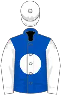 Royal blue, white ball, white sleeves, white cap