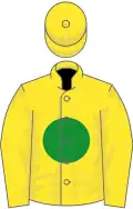 Yellow, green disc