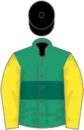 Emerald green, dark green hoop, yellow sleeves, black cap