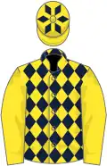 Yellow and dark blue diamonds, yellow sleeves