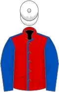 Red, royal blue seams and sleeves, white cap