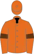 Orange, brown armlets