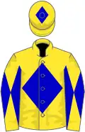 Yellow, blue diamond, diabolo on sleeves, diamond on cap