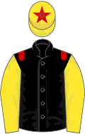Black, red epaulets, yellow sleeves and cap, red star