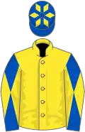 Yellow, royal blue and yellow diabolo on sleeves, royal blue cap, yellow diamonds