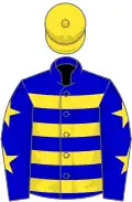 Blue and yellow hoops, blue sleeves, yellow stars, yellow cap