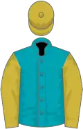 Peacock blue, old gold sleeves and cap