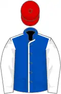 Royal blue, white seams and sleeves, red cap