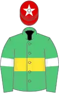 Emerald green, yellow hoop, emerald green sleeves, white armlets, red cap, white star