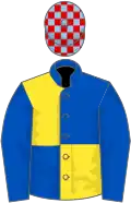 Royal blue and yellow (quartered), royal blue sleeves, light blue and red check cap