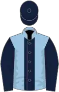 Light blue, dark blue panel and sleeves, dark blue cap