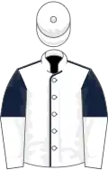 White, Dark Blue seams, Dark Blue and White halved sleeves, White cap