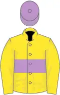 Yellow, mauve hoop and cap