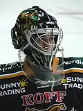 Mikko Patsi