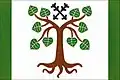Flag of Přibyslav