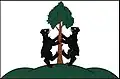 Flag of Přimda