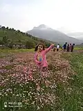 Peruyan