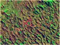 Satellite photo, 1993-06-24, strongly contrasting dense wood covering (green), grass (brown), buildings (purple) and naked land areas (orange)