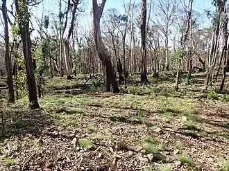 Habitat