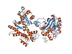 2a42: Actin-DNAse I Complex