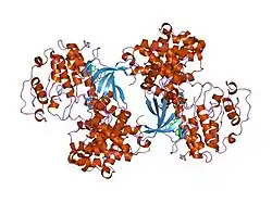 2c5p:
