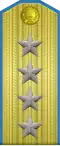 空军大将