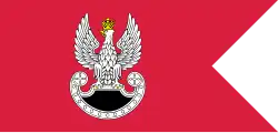Flag of the Special Forces
