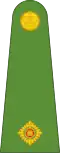 Second lieutenant (Papua New Guinea Land Element)