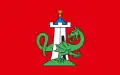 Flag of Żmigród
