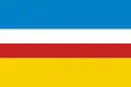 Flag of Żory