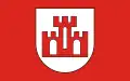 Flag of Żychlin