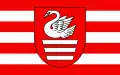 Flag of Biłgoraj