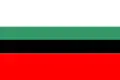 Flag of Dąbrowa Górnicza