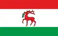 Flag of Dobre Miasto
