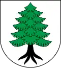 Myszyniec