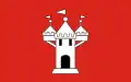 Flag of Wolbórz