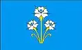 Flag of Gmina Kąkolewnica