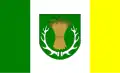 Flag of Gmina Ruja