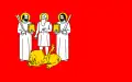Flag of Gmina Szelków