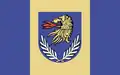 Flag of Gmina Wierzbica