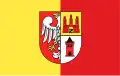 Flag of Żyrardów County