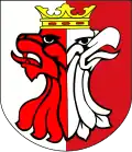 Aleksandrów County
