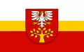 Flag of Limanowa County