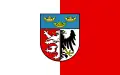 Flag of Pabianice County