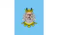 Flag of Rypin County